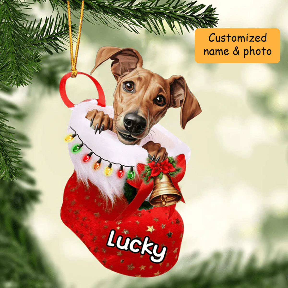 Personalized Azawakh in Christmas Stocking Acrylic Ornament, Christmas Gifts Ornament for Dog Lover