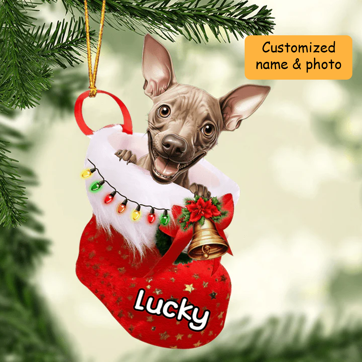 Personalized American Hairless Terrier in Christmas Stocking Acrylic Ornament, Christmas Gifts Ornament for Dog Lover