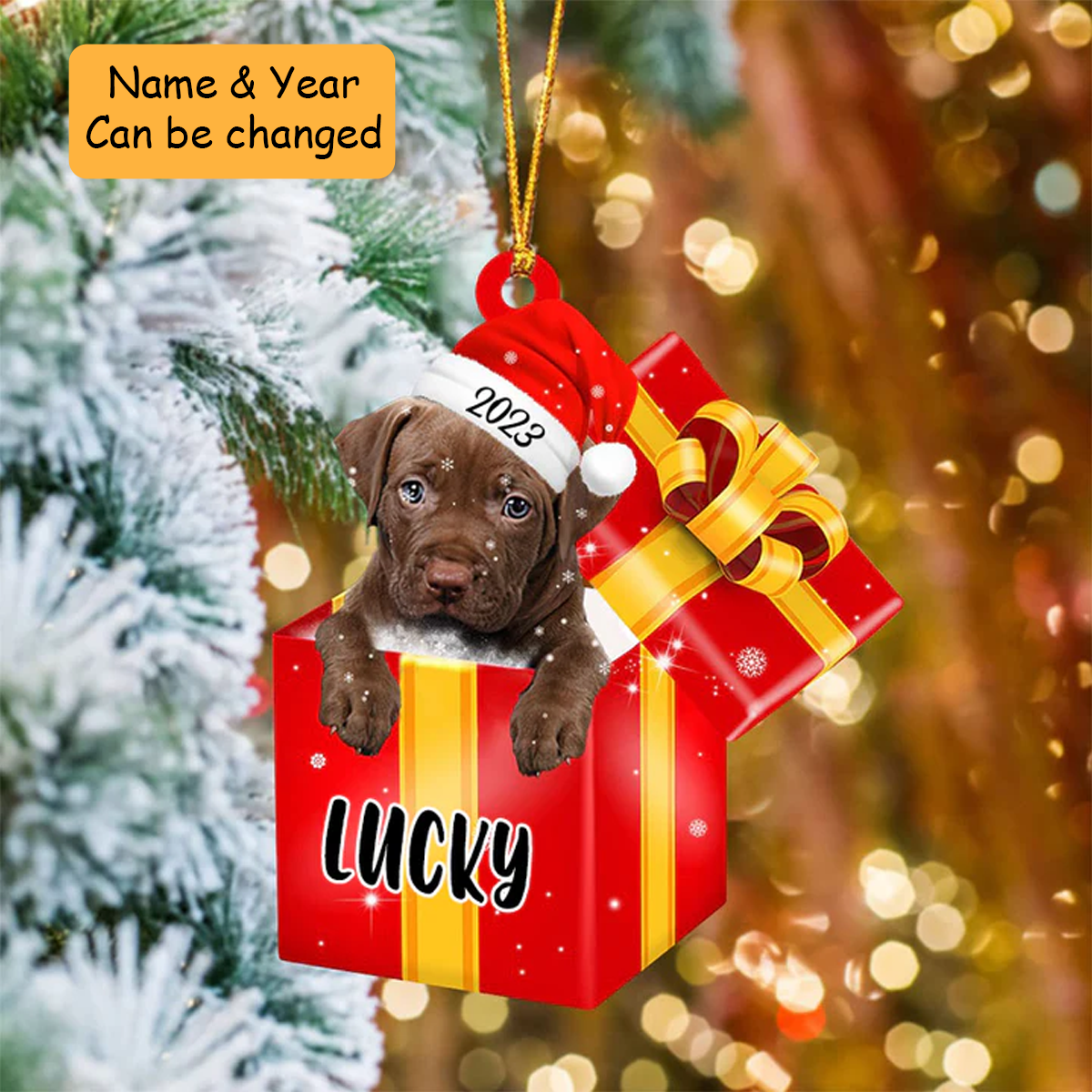 Personalized Pit Bull In Red Gift Box Acrylic Ornament Christmas Gifts Ornament For Dog Lovers, Pet Lovers