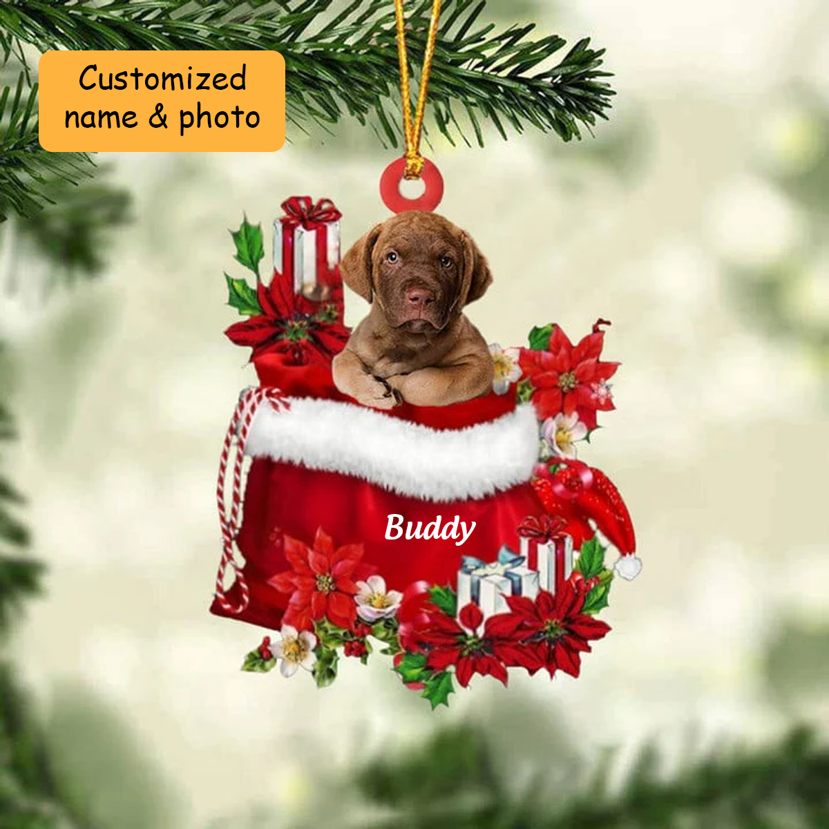 Customized Chesapeake Bay Retriever Dog In Red Gift Bag Acrylic Ornament, Christmas Gift For Dog Lovers, Dog Mom