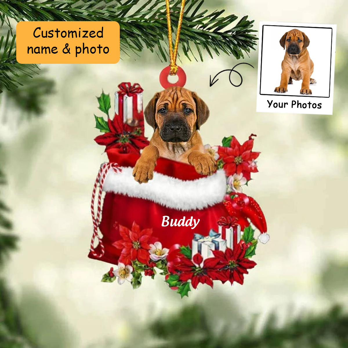 Customized Rhodesian Ridgeback Dog In Red Gift Bag Acrylic Ornament, Christmas Gift For Dog Lovers, Dog Mom