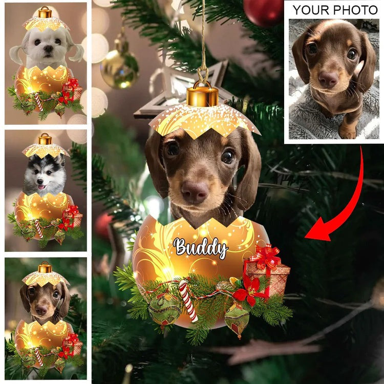 Custom Dog In Egg Christmas Light Acrylic Ornament, Custom Ornament Gift For Dog Mom, Dog Lovers