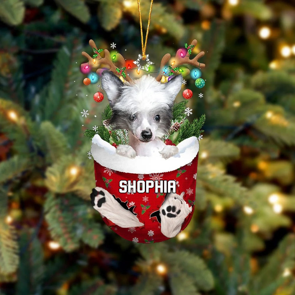 Chinese Crested Dog In Snow Pocket Christmas Acrylic Ornament - Christmas Gift For Chinese Crested Dog Lovers, Dog Lovers