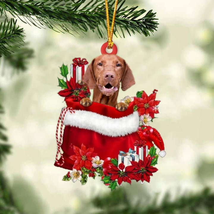 Customized Vizsla Dog In Red Gift Bag Acrylic Ornament, Christmas Gift For Dog Lovers, Dog Mom
