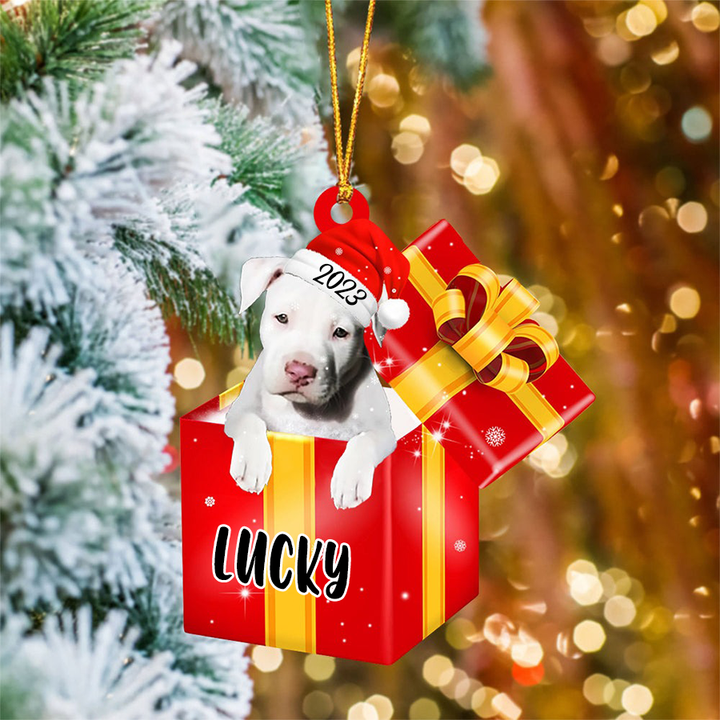 Customized Staffordshire Bull Terrier In Red Gift Box Acrylic Ornament Christmas Gift Ornament Gift For Dog Mom