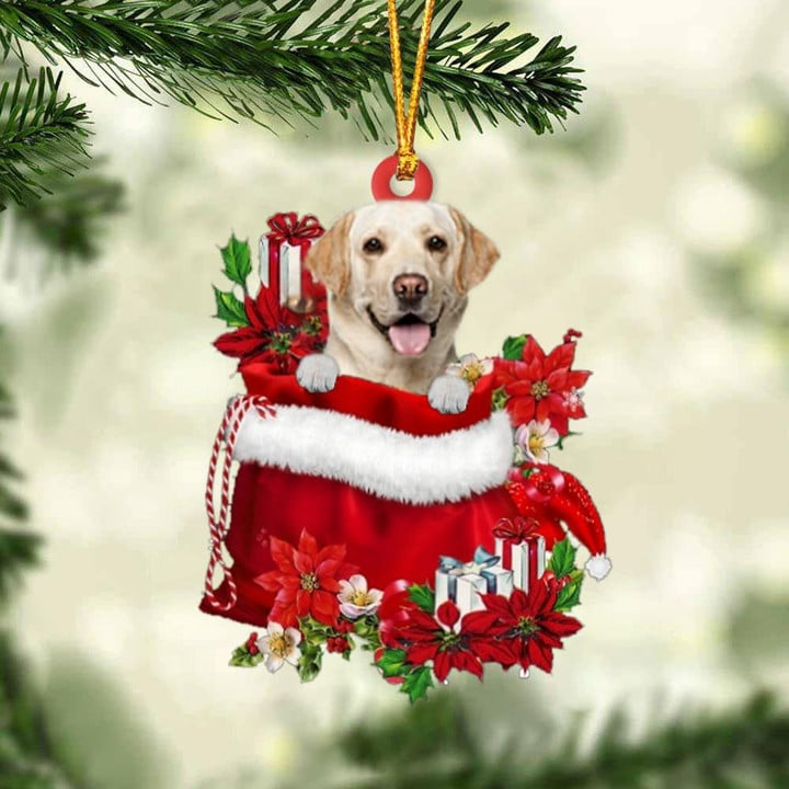 Customized Labrador Retriever In Red Gift Bag Acrylic Christmas Ornament, Personalized Christmas Gift For Dog Lovers, Dog Mom