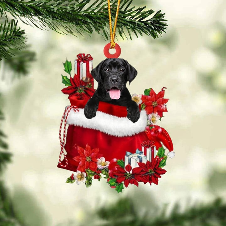 Customized Labrador Retriever In Red Gift Bag Acrylic Christmas Ornament, Personalized Christmas Gift For Dog Lovers, Dog Mom