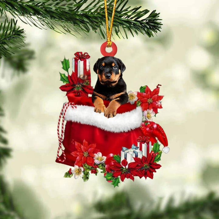 Personalized Rottweiler Dog In Red Gift Bag Acrylic Ornament, Custom Christmas Gift For Dog Lovers, Dog Mom