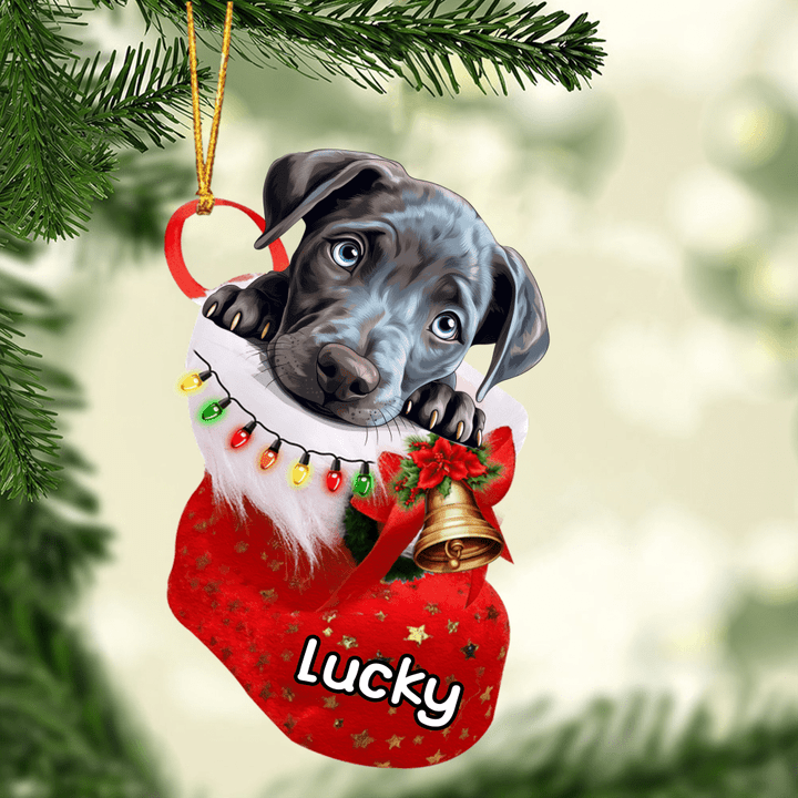 Personalized Blue Lacy Christmas Stocking Acrylic Ornament, Christmas Gifts Ornament for Dog Lover