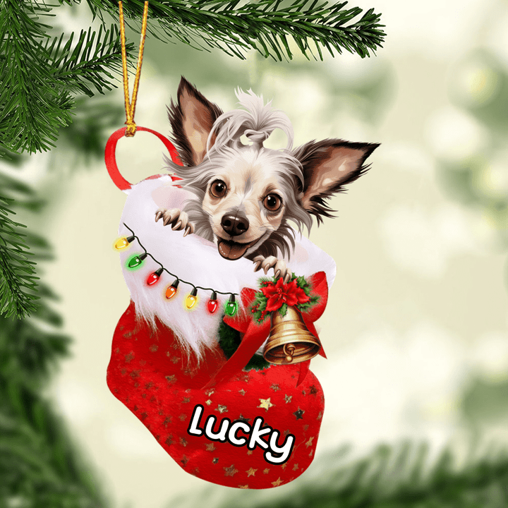 Personalized Chinese Crested In Christmas Stocking Acrylic Ornament, Christmas Gifts Ornament for Dog Lover