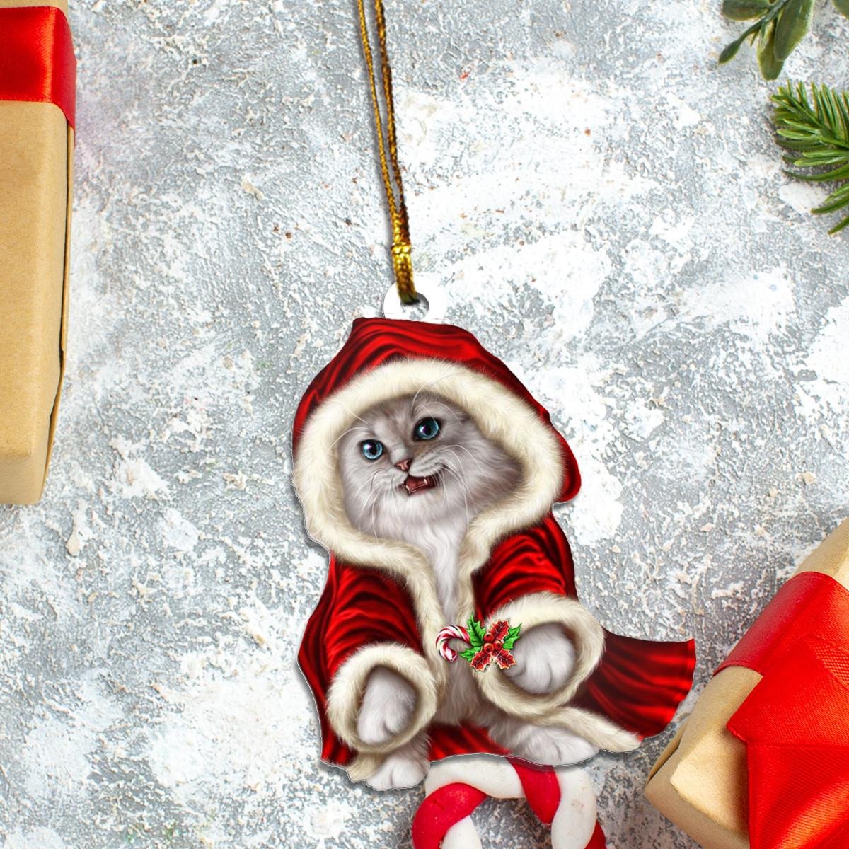 Ragdoll Cat In Red Santa Claus Clothes Custom Plastic Acrylic Ornaments Xmas Gifts for Family Friends