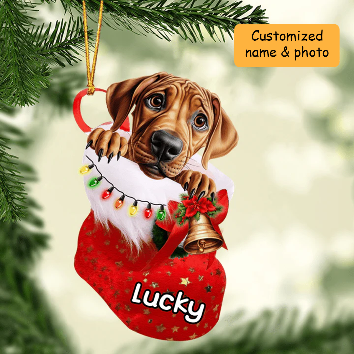 Customized Rhodesian Ridgeback Dog In Christmas Stocking Acrylic Ornament, Christmas Ornament for Dog Lover