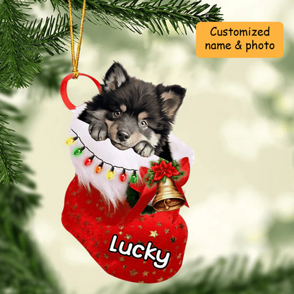 Customized Finnish Lapphund Dog In Christmas Stocking Acrylic Ornament, Christmas Gifts Ornament for Dog Lover