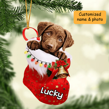 Personalized Chesapeake Bay Retriever In Christmas Stocking Acrylic Ornament, Christmas Gifts Ornament for Dog Lover