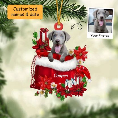 Customized Weimaraner In Red Gift Bag Acrylic Ornament, Personalized Christmas Gift For Dog Lovers, Dog Mom