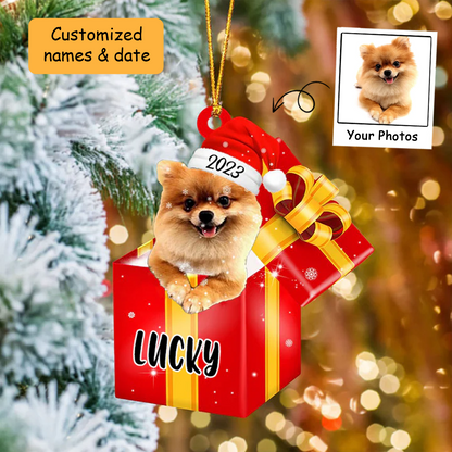 Customized Pomeranian In Red Gift Box Acrylic Ornament, Christmas Gift For Dog Lovers, Pet Lovers