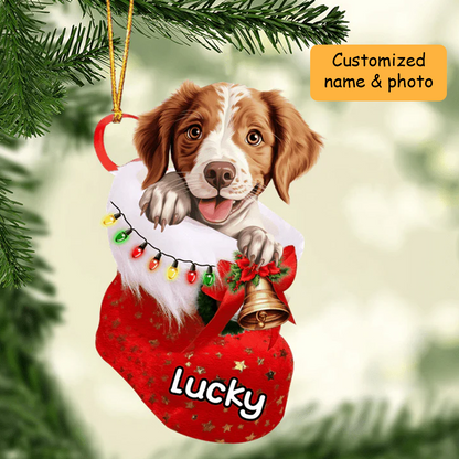 Personalized Brittany In Christmas Stocking Acrylic Ornament, Christmas Gifts Ornament for Dog Lover