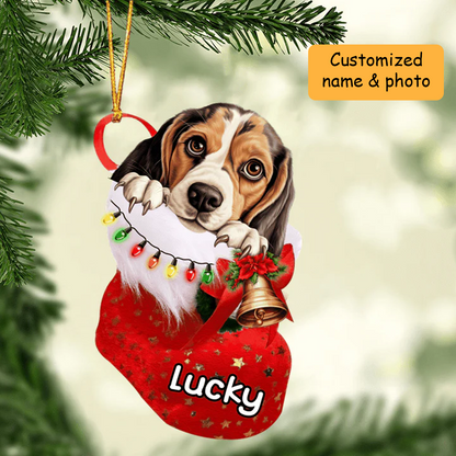 Personalized Beagle in Christmas Stocking Acrylic Ornament, Christmas Acrylic Ornament for Dog Lover