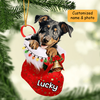 Personalized Beauceron Dog in Christmas Stocking Acrylic Ornament, Christmas Gifts Ornament for Dog Lover