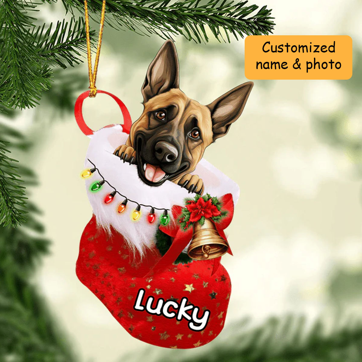 Personalized Belgian Malinois in Christmas Stocking Acrylic Ornament, Christmas Gifts Ornament for Dog Lover