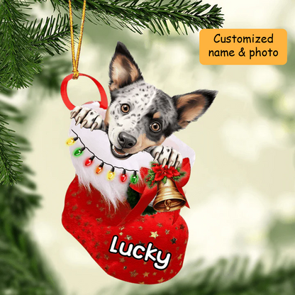 Personalized Australian Stumpy Tail Cattle in Christmas Stocking Acrylic Ornament, Christmas Acrylic Ornament for Dog Lover