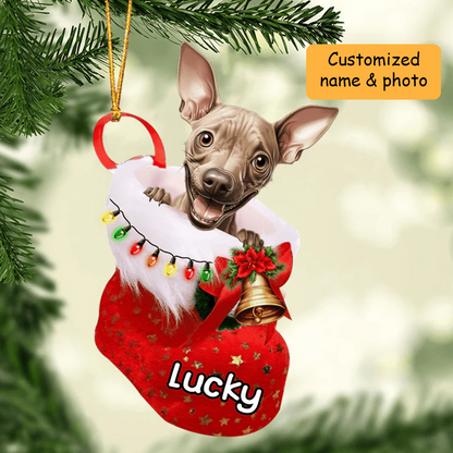 Personalized American Hairless Terrier in Christmas Stocking Acrylic Ornament, Christmas Gifts Ornament for Dog Lover