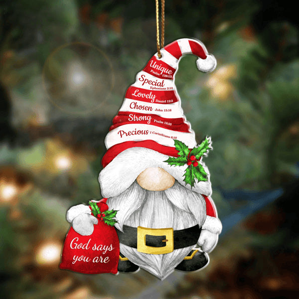 Christmas Gnome God Says You Are Acrylic Ornament, Perfect Christmas Gift For Family, Friends