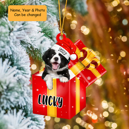 Customized Border Collies In Red Gift Box Acrylic Ornament, Personalized Gifts For Christmas Dog Mom