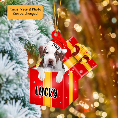 Customized Pit Bull In Red Gift Box Acrylic Ornament, Personalized Ornament Gifts For Christmas Dog Mom