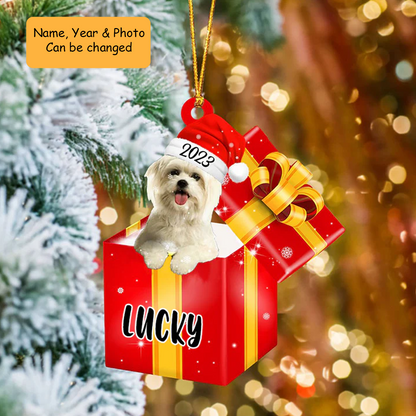 Customized Maltese Dog In Red Gift Box Acrylic Ornament, Customized Shih Tzu Dog In Cup Acrylic Ornament, Personalized Ornament Gifts For Christmas Dog Mom