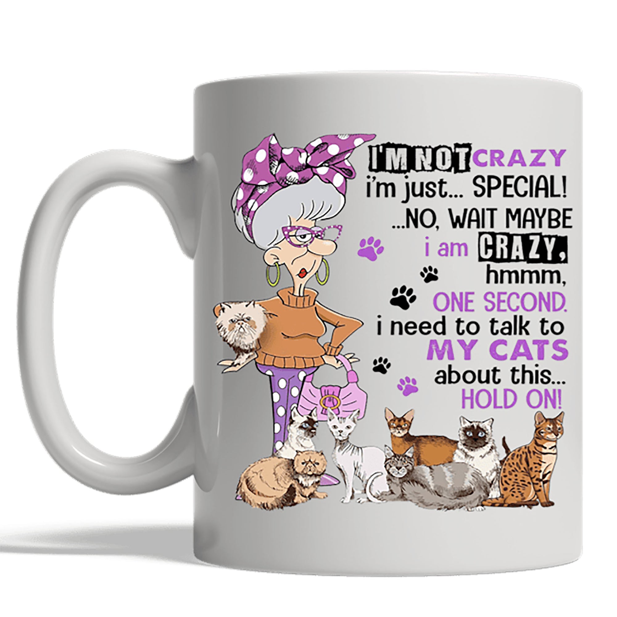 Cat Lovers Coffee Mug, Gift for Cat Lover, Cat Mom, I'm not crazy I'm just special I need to talk to My Cats