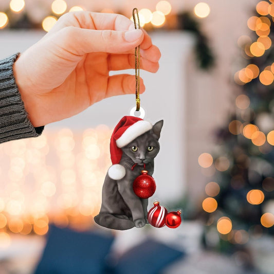 Cat mica ornament gift for christmas 2022 - Amzanimalsgift