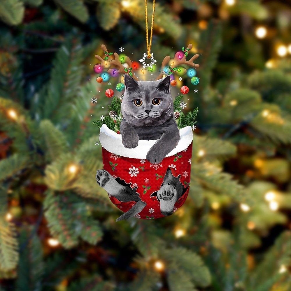 British Grey Cat In Snow Pocket Christmas Ornament Flat Acrylic Cat Ornament - Best Gift For Cat Lovers