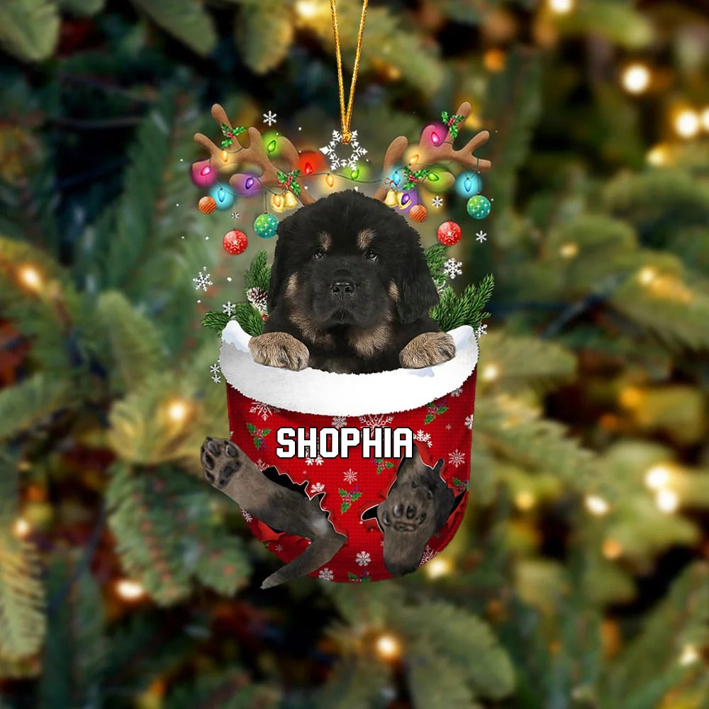 Custom Name Tibetan Mastiff In Snow Pocket Christmas Ornament - Christmas Gift For Tibetan Mastiff Lovers, Dog Lovers