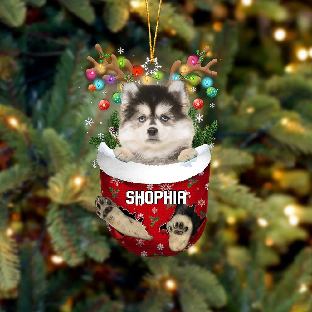 Custom Name Pomsky In Snow Pocket Christmas Acrylic Ornament - Christmas Gift For Pomsky Lovers, Dog Lovers