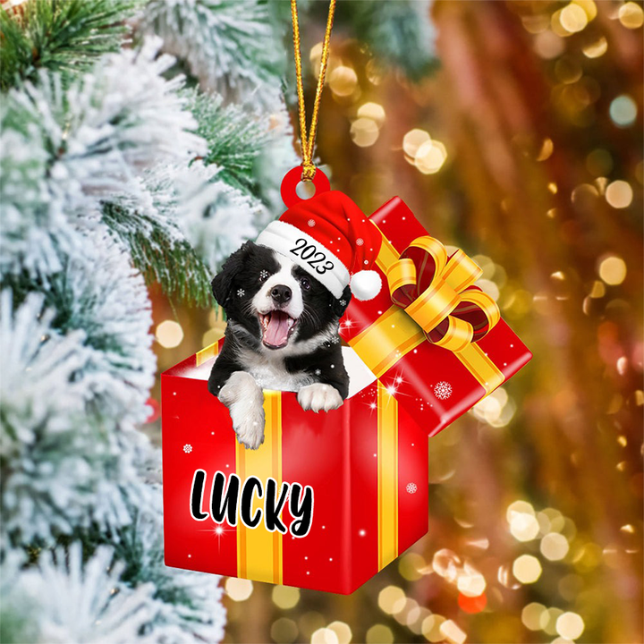 Customized Border Collies In Red Gift Box Acrylic Ornament, Personalized Gifts For Christmas Dog Mom