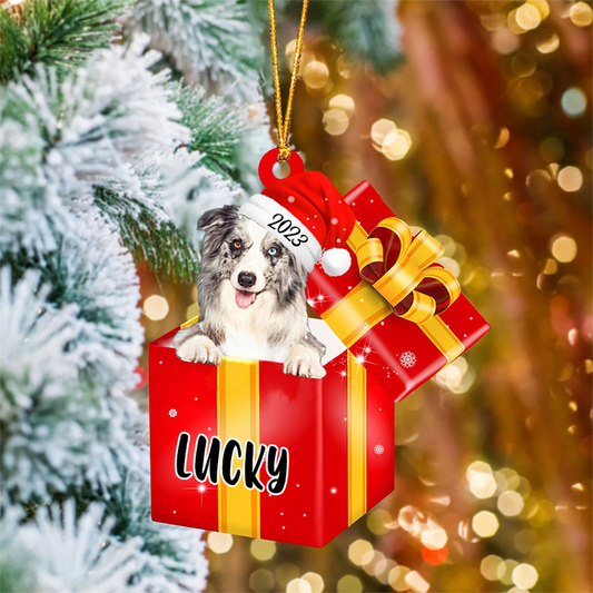 Customized Border Collie In Red Gift Box Acrylic Ornament, Personalized Ornament Gift For Christmas