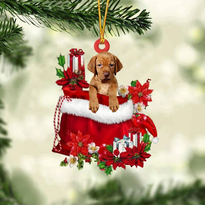 Customized Vizsla Dog In Red Gift Bag Acrylic Ornament, Christmas Gift For Dog Lovers, Dog Mom