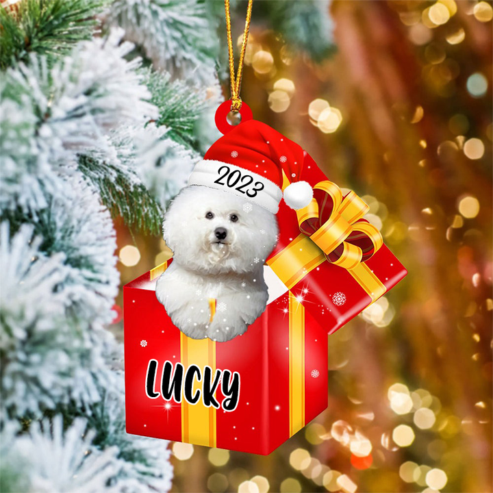 Customized Bichon Frise In Red Gift Box Acrylic Ornament, Custom Ornament Gift For Christmas