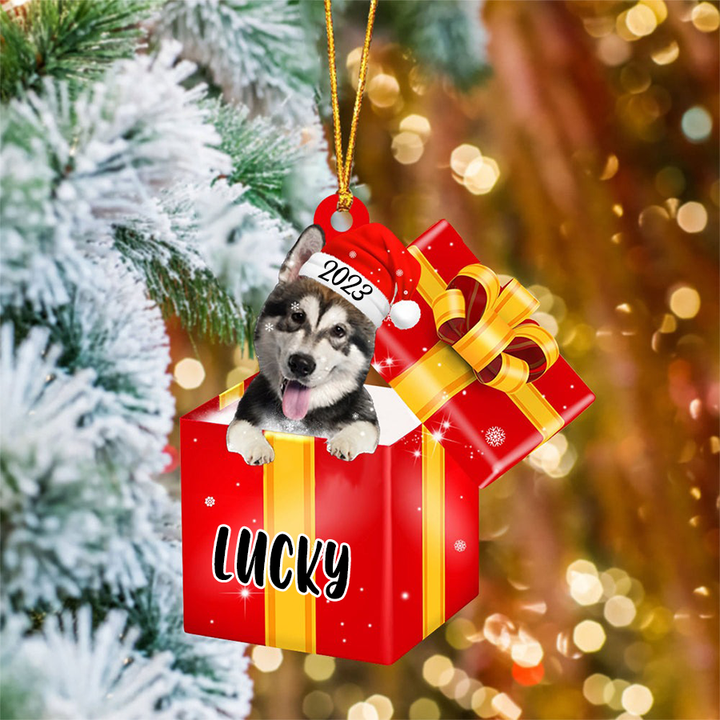 Customized Alaskan Malamute In Red Gift Box Acrylic Ornament, Christmas Gift Ornament For Dog Lovers