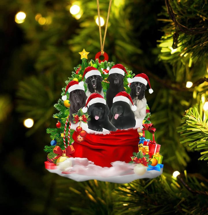 Newfoundland Dogs In Red Gift Bag Acrylic Ornament, Christmas Gift For Dog Lovers, Dog Mom