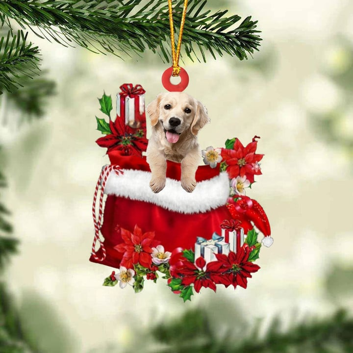 Customized Golden Retriever In Red Gift Bag Acrylic Christmas Ornament, Christmas Gift For Dog Lovers, Dog Mom