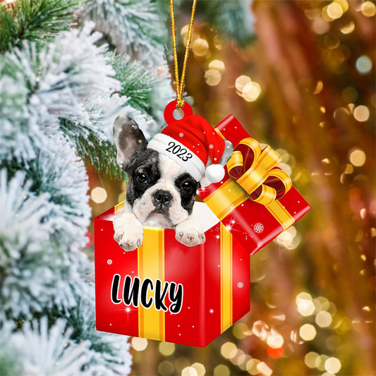 Customized French Bull In Red Gift Box Acrylic Ornament Christmas Gift Ornament For Dog Lovers, Pet Lovers