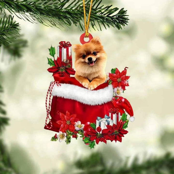 Customized Pomeranian In Red Gift Bag Acrylic Ornament, Christmas Gift For Dog Lovers, Dog Mom