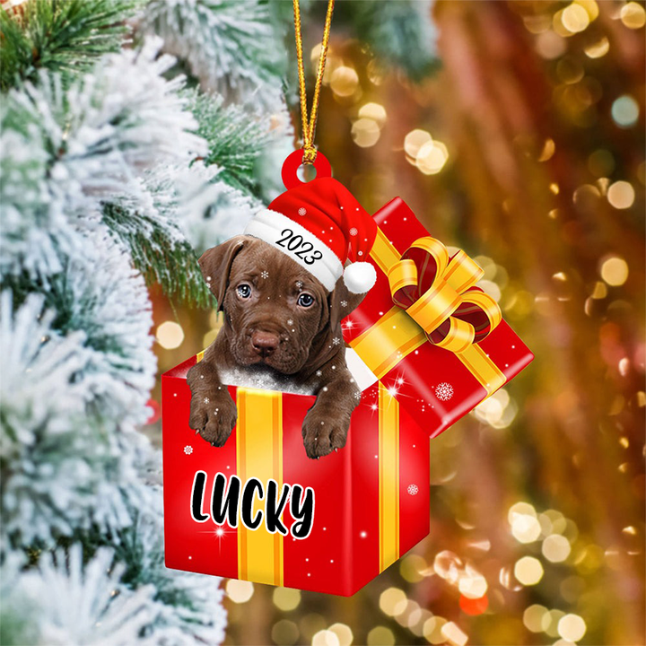 Personalized Pit Bull In Red Gift Box Acrylic Ornament Christmas Gifts Ornament For Dog Lovers, Pet Lovers