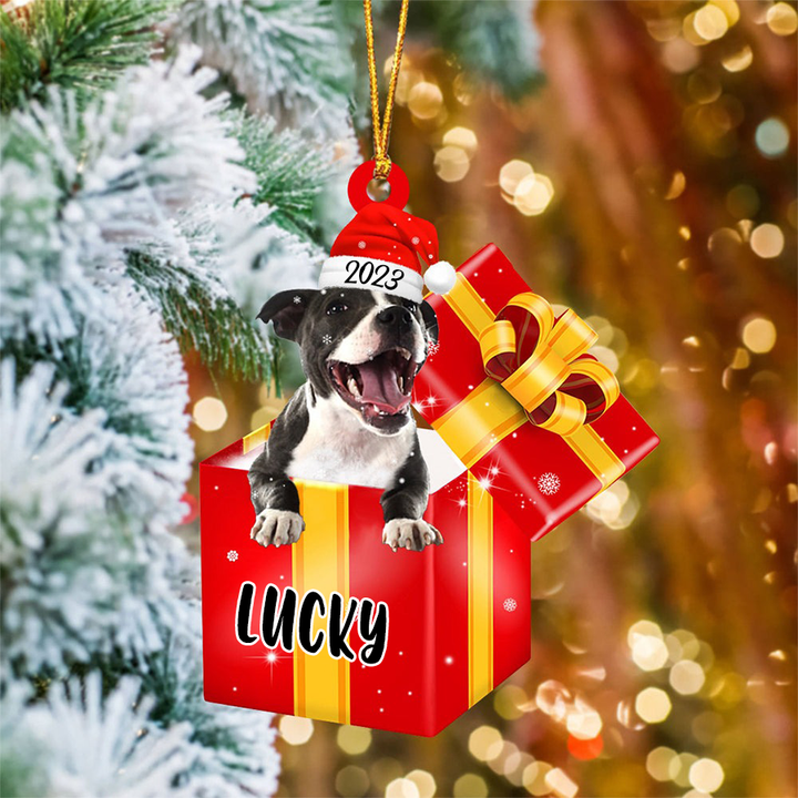 Personalized Staffordshire Bull Terrier In Red Gift Box Acrylic Ornament Christmas Gifts Ornament For Dog Lovers, Pet Lovers