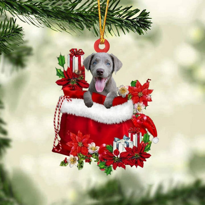 Customized Weimaraner In Red Gift Bag Acrylic Ornament, Personalized Christmas Gift For Dog Lovers, Dog Mom