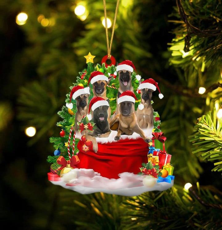 Belgian Shepherd Dogs In Red Gift Bag Acrylic Ornament, Christmas Gift For Dog Lovers, Dog Mom