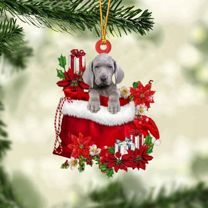 Customized Weimaraner In Red Gift Bag Acrylic Ornament, Personalized Christmas Gift For Dog Lovers, Dog Mom