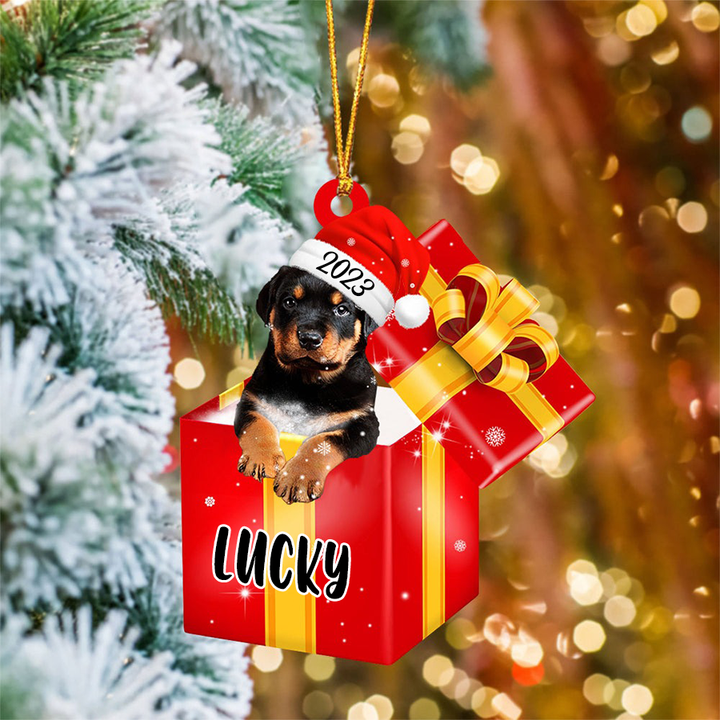 Customized Rottweiler In Red Gift Box Acrylic Ornament, Personalized Ornament Gifts For Christmas Dog Mom